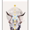 Gold Lyre Tarot - Image 4