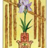 The Radiant Tarot - Image 5