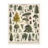 Cavallini and Co: Arboretum 1000 Piece Puzzle - Image 2